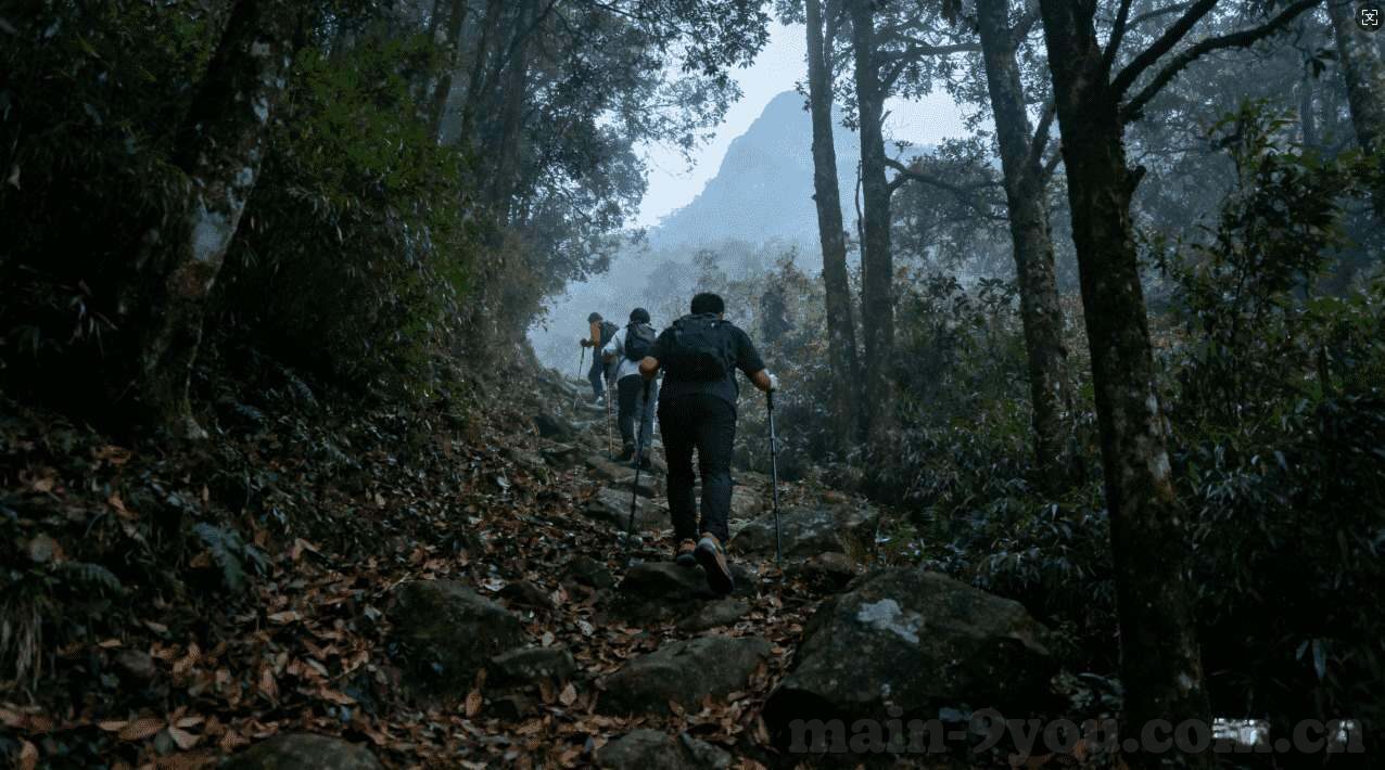 维特赛尔世界杯表现-维特赛尔世界杯表现，一位足球巨星的闪耀时刻
